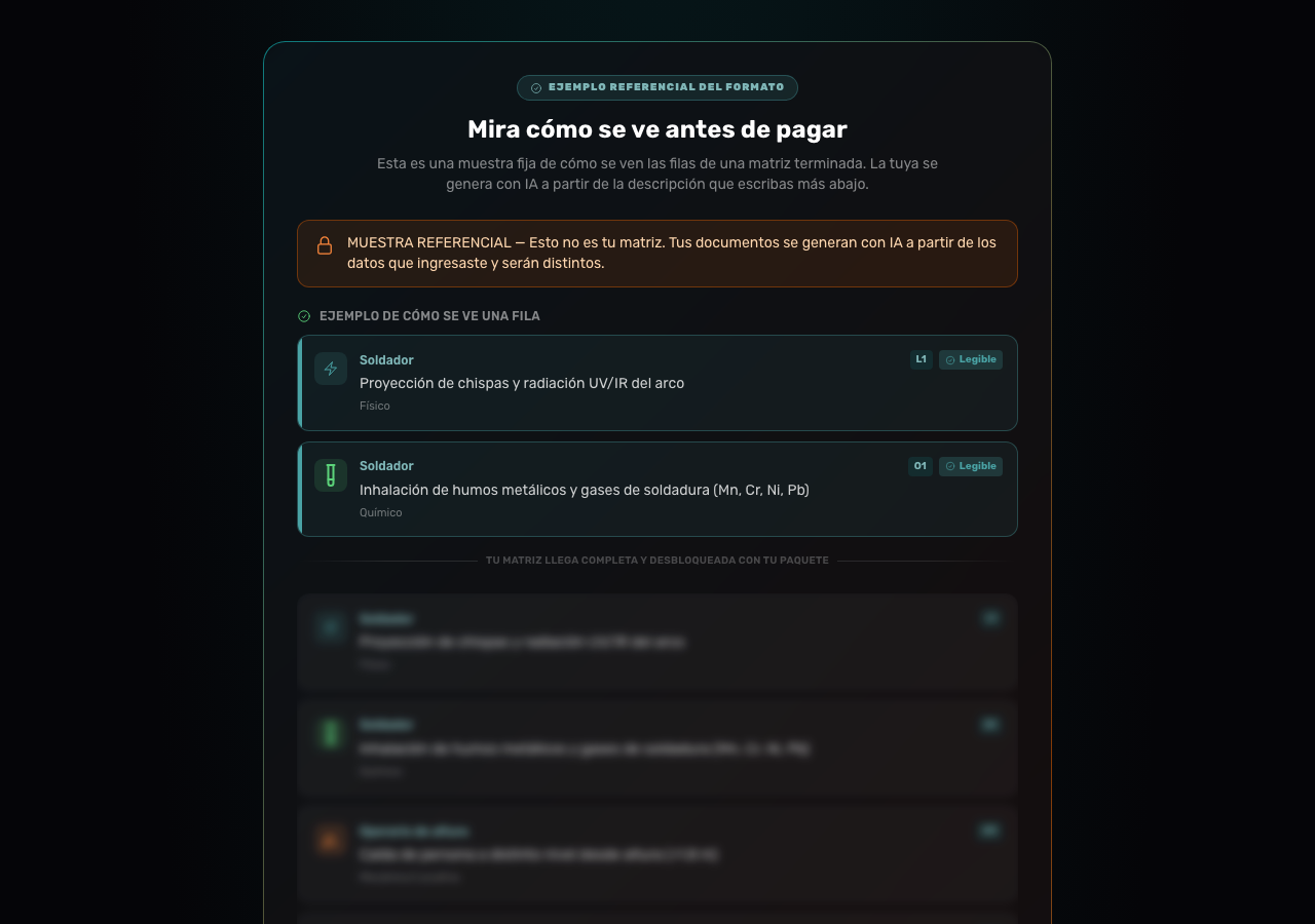 Muestra del formato: filas de ejemplo legibles y contenido desenfocado con candado